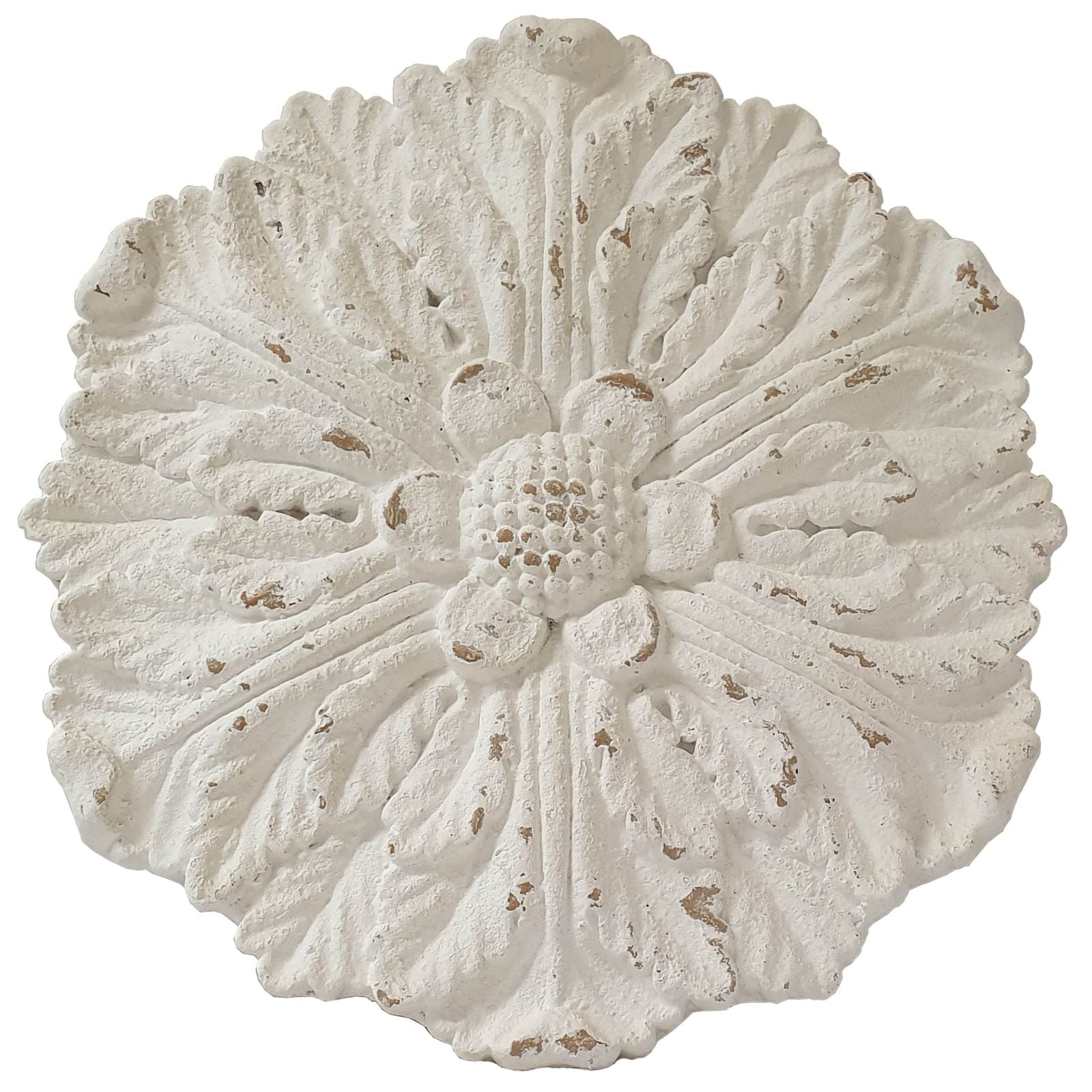 Dianthus Circle of Flowers Floral Wall Art - Elegant Botanical Home Decor for Living Room, Bedroom & Office
