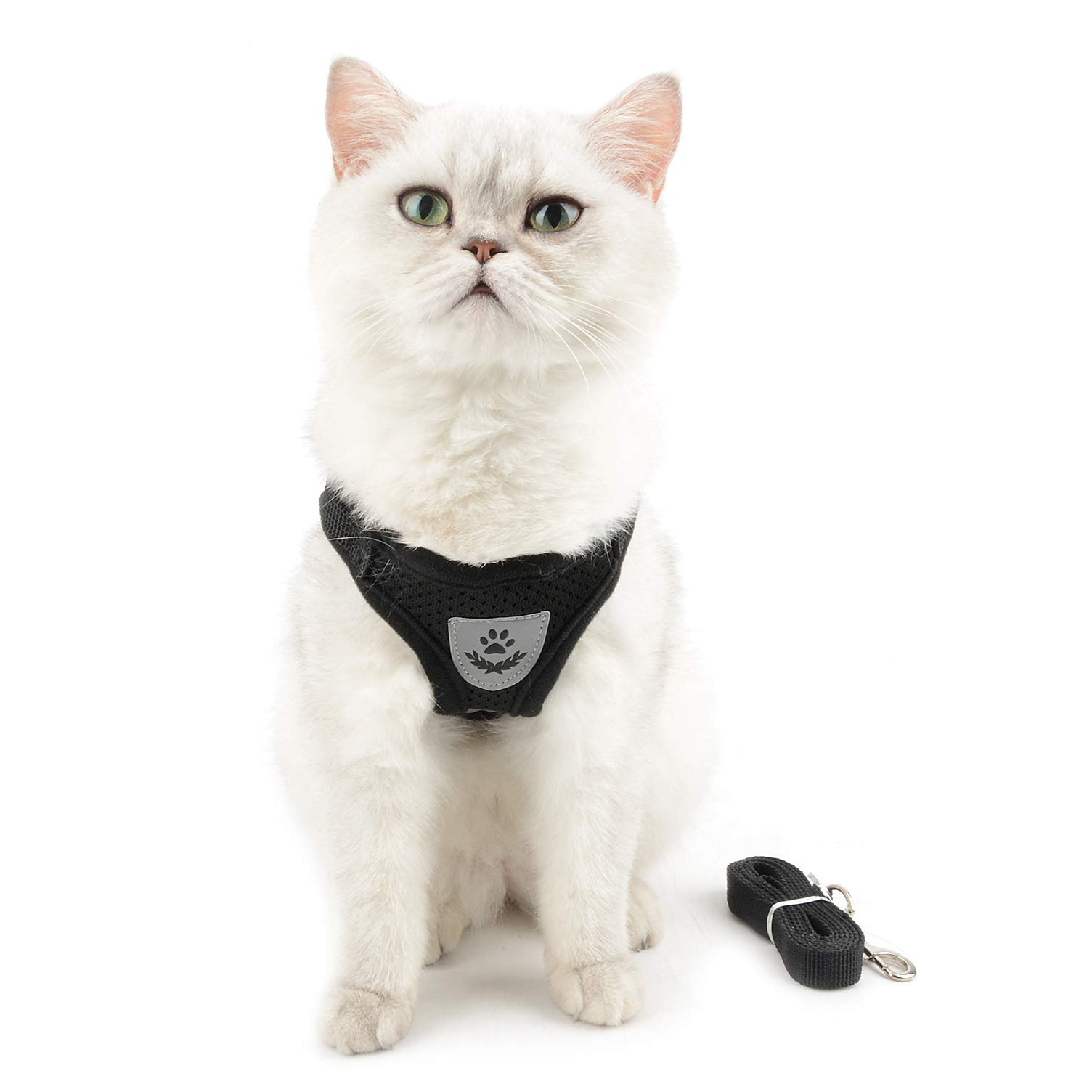 Ranphy Escape Proof Reflective Cat Harness and Leash Set - Adjustable No Pull Soft Mesh Vest for Small Dogs & Cats - Padded Walking Jacket for Puppy, Kitten, Boy & Girl (Black, XS) - Perfect for Training, Outdoor Adventures & Night Walks