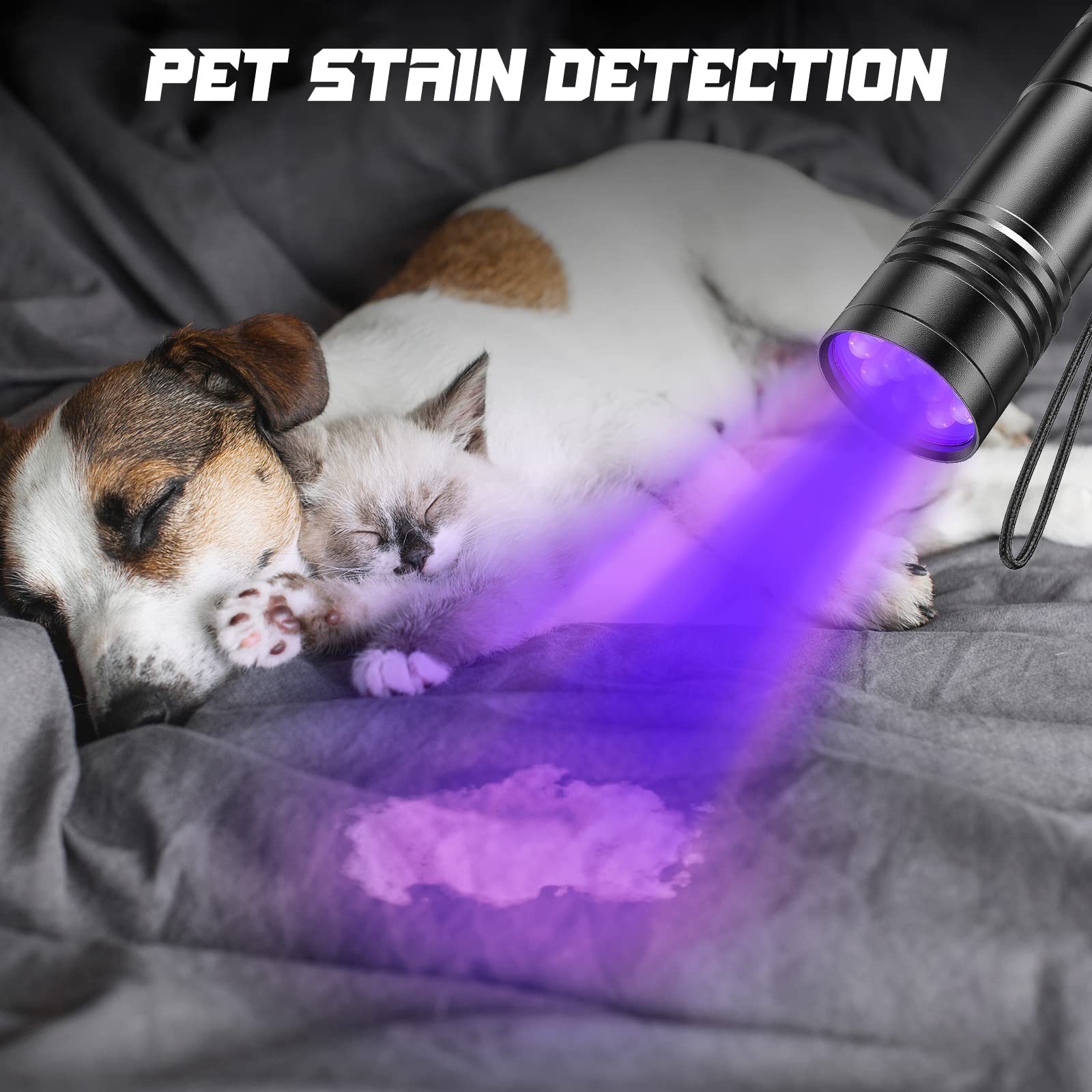 UV Flashlights 2 Pack - 12 LED 395nm Black Light Flashlight for Detecting Pet Urine & House Stains | Includes 6 AAA Batteries | Perfect for Home Inspection, Crime Scene Investigation & Nighttime Hunting