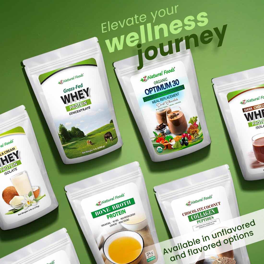 Organic Vegan Protein Powder with Chocolate Flavor - Plant-Based Protein Blend from Pea, Brown Rice & Pumpkin, Naturally Sweetened with Stevia - 1 lb for Smoothies, Baking & Post-Workout Recovery