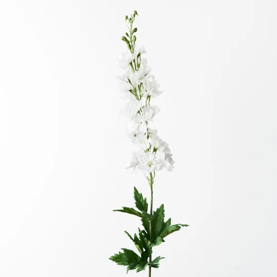 Delphinium White Flowers - Fresh Cut Perennial Garden Blooms for Weddings, Bouquets & Home Decor