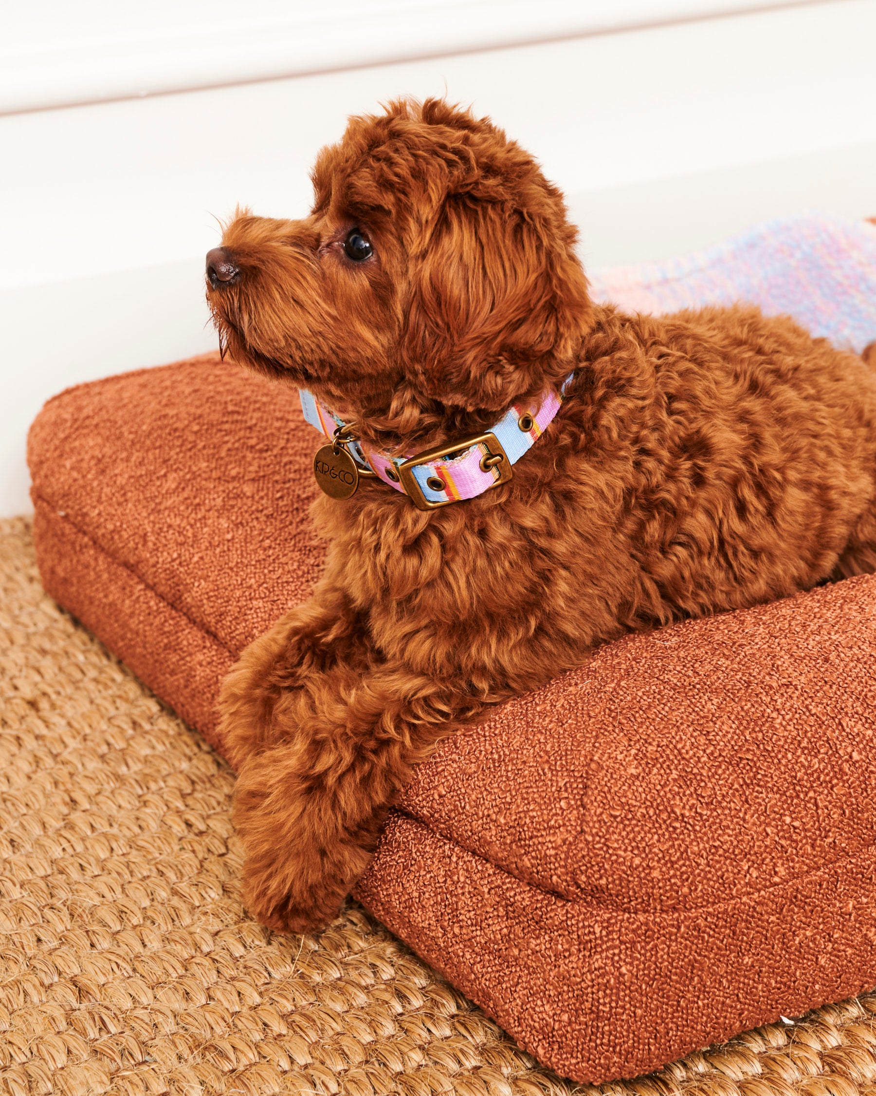 Premium Fez Stripe Dog Collar - Adjustable Nylon Pet Collar with Quick-Release Buckle for Small Medium Large Dogs - Perfect for Daily Walks, Training & Outdoor Adventures