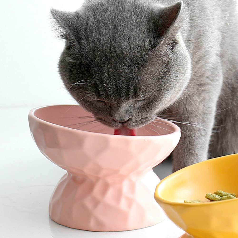 Elevated Cat Food Bowls for Indoor Cats - Ceramic Tilted Raised Cat Dish with Non-Slip Base | Promotes Healthy Digestion & Spine Support | Easy Clean Pet Feeding Bowl for Wet/Dry Food & Water - Perfect for Kittens, Adult & Senior Cats