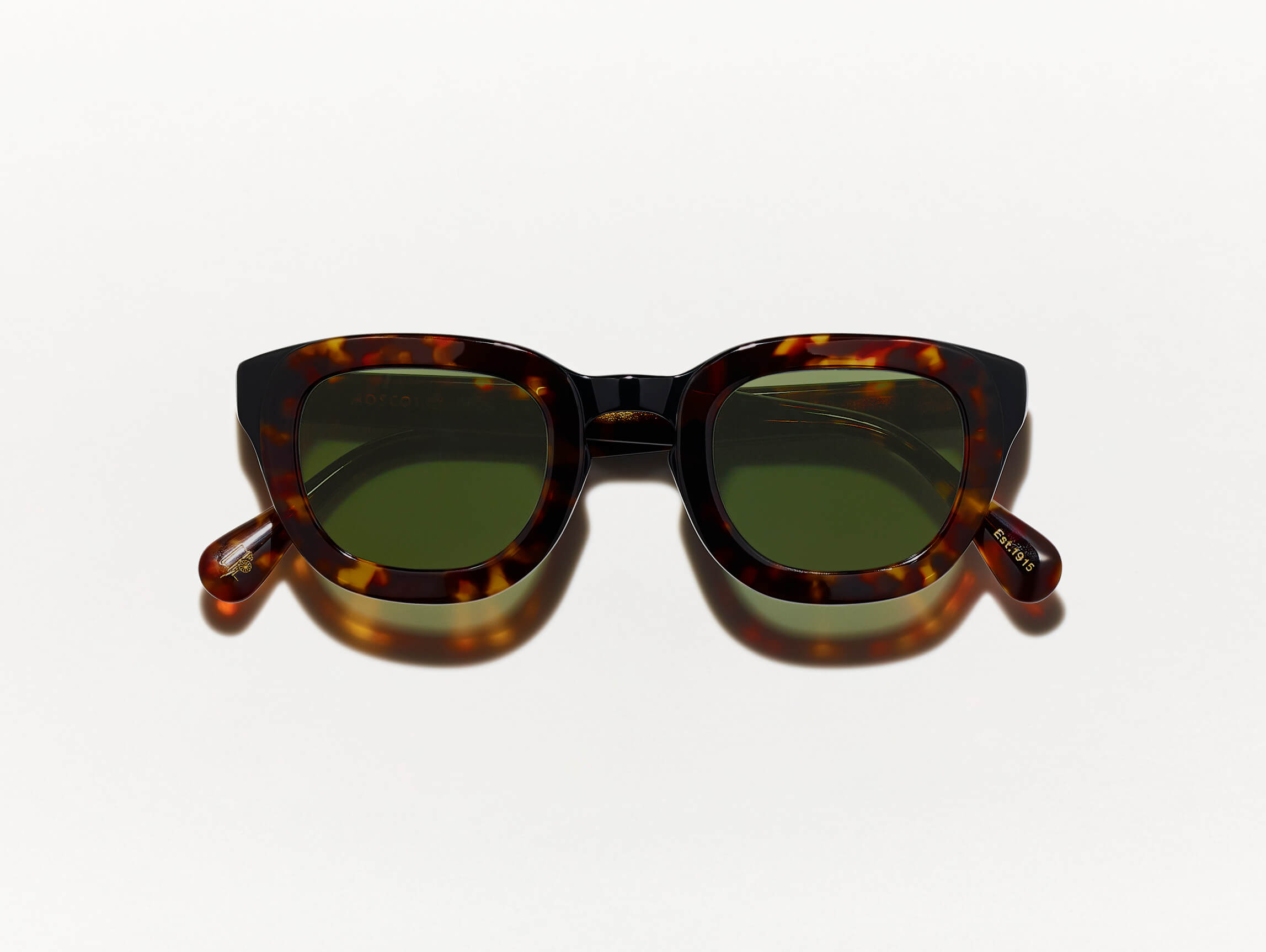 Tortoise/Black