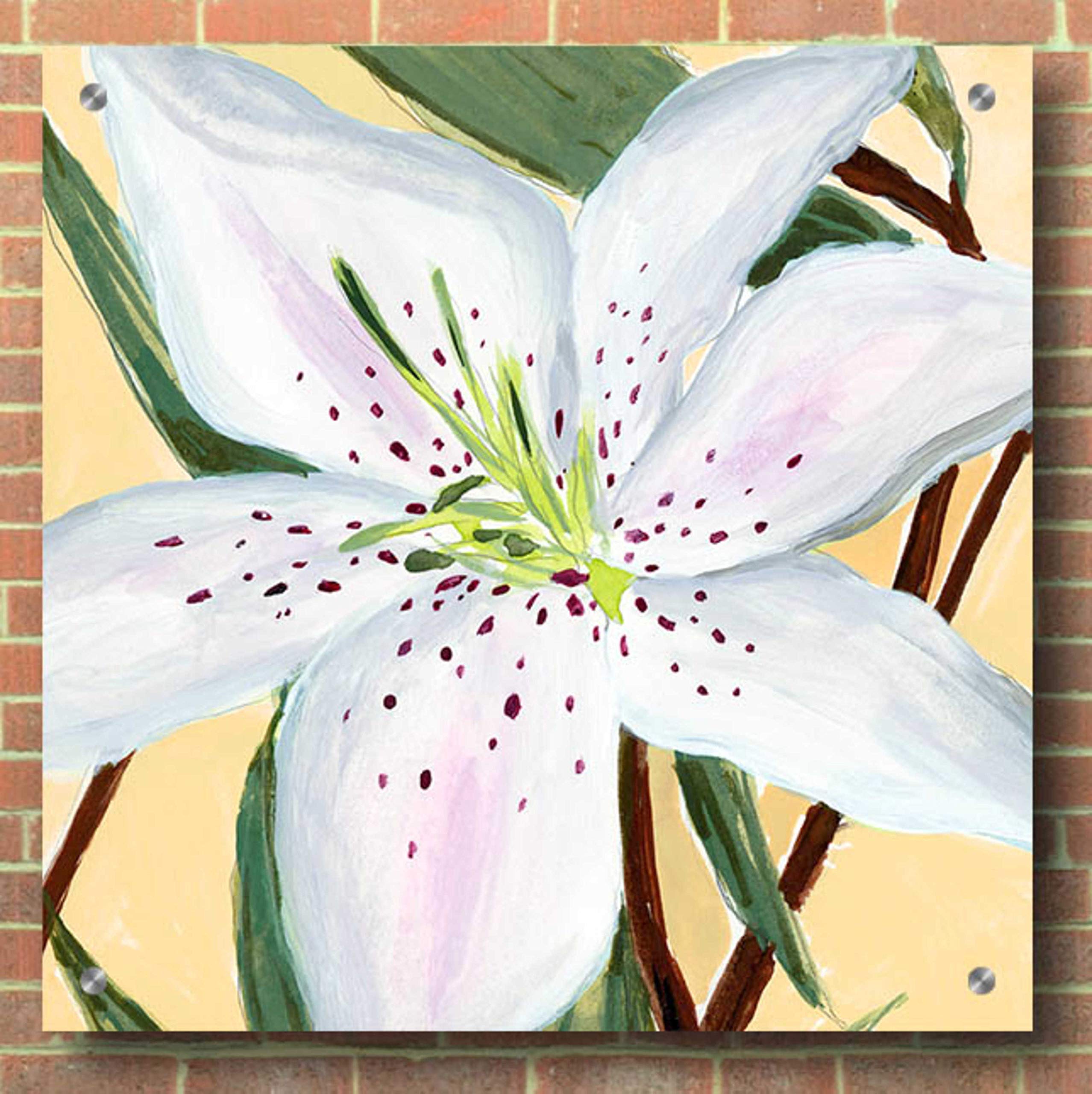 Annie Warren 'White Lily II' Acrylic Glass Wall Art - 36x36 Inches Modern Floral Painting for Living Room, Bedroom & Office Decor