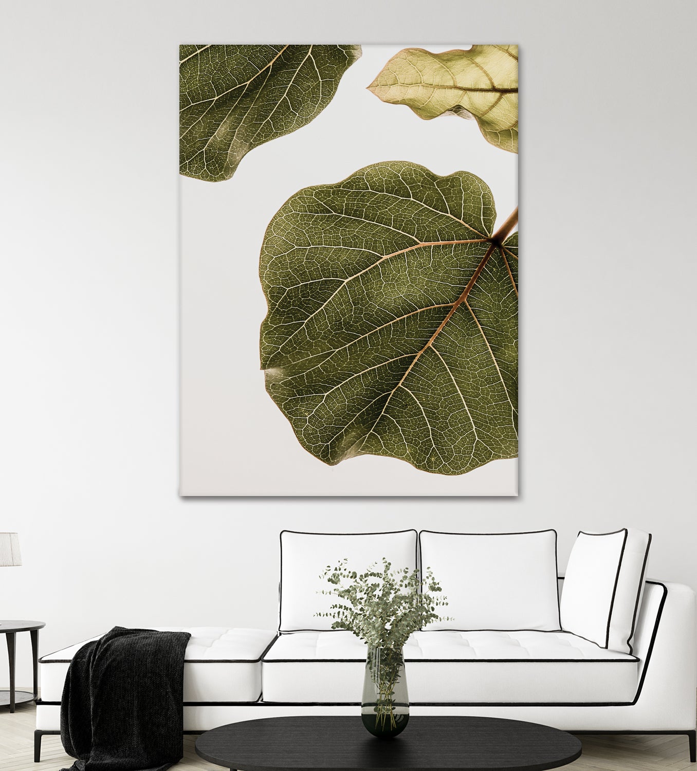 Abutifolia No2 - Premium Quality for Home Decor, Office, and Gift Giving | Enhance Your Space with Elegant Style
