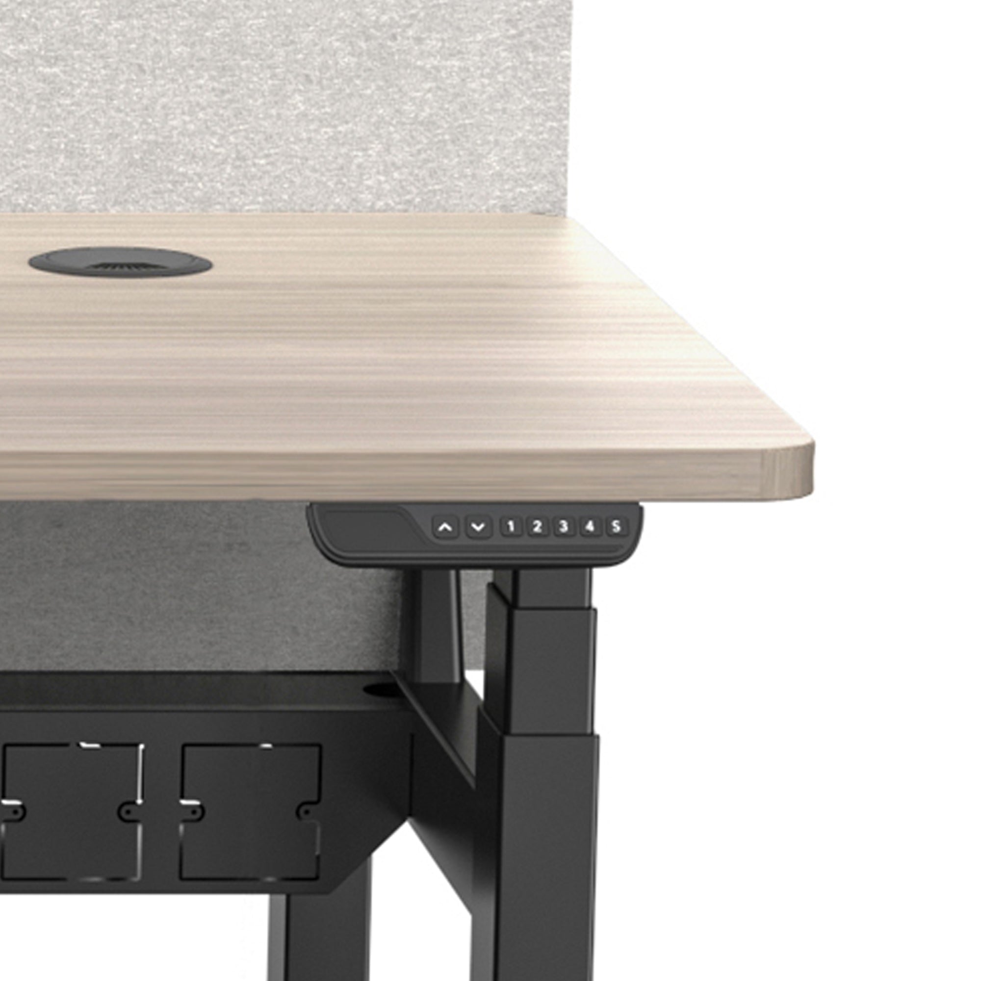 MARLO 2 Person Standing Desk - Dual Motor Adjustable Height 55