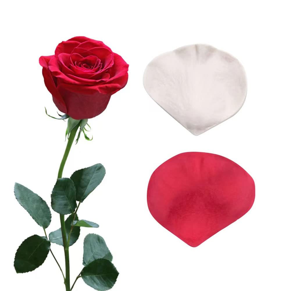 Rose Petal Fondant Silicone Veiner Mold - 22x25x5 Inch Rose Flower Silicone Mold for Cake Decorating, Cupcake, Gumpaste, Clay - Perfect for Wedding, Mother's Day, DIY Cake & Dessert Decoration