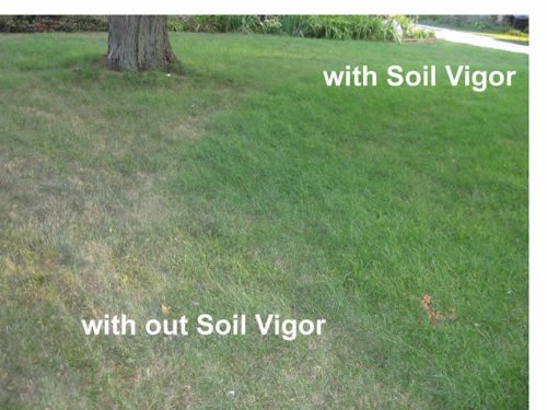 25LBS Water Absorbing Polymer Crystals for Plants - Soil Moisture Retention, Insect Control - Ideal for Gardening, Landscaping, and Drought-Resistant Lawns