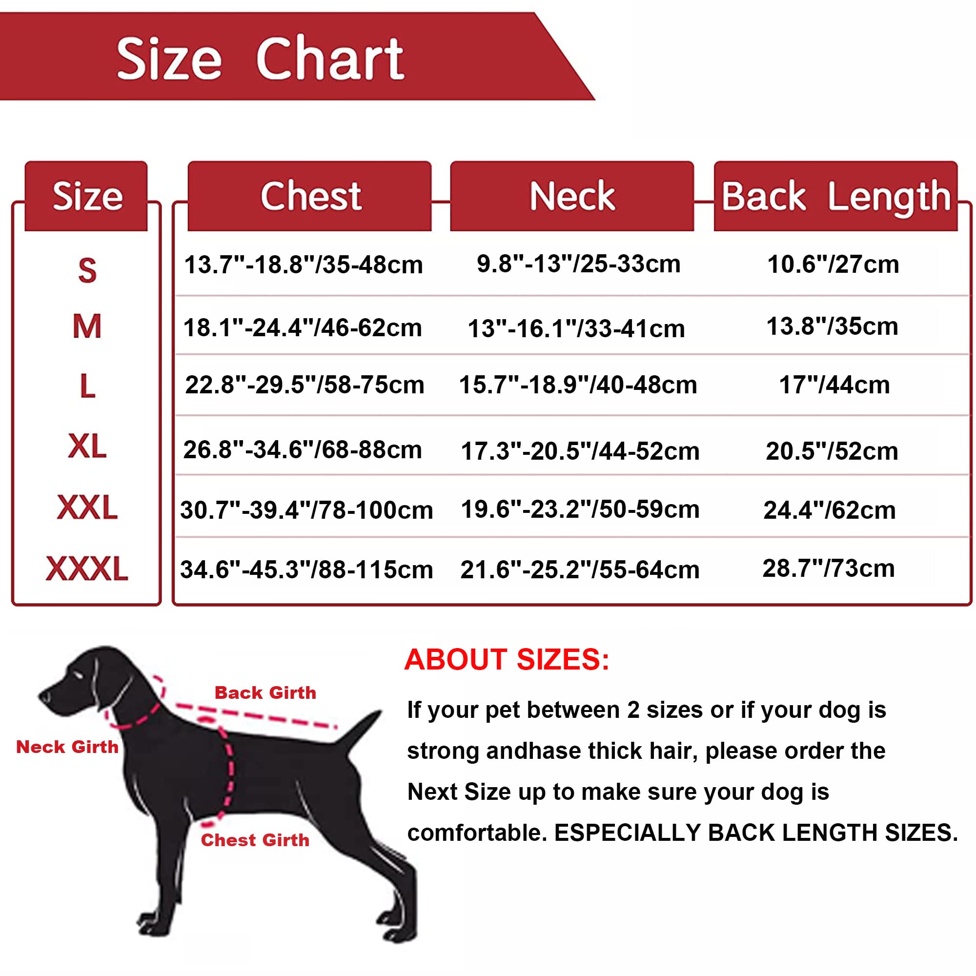 Dogcheer Waterproof & Reflective Winter Dog Jacket - Warm Fleece Coat with Turtleneck & Leash Hole for Small Medium Large Dogs | Cozy Snowsuit for Cold Weather, Outdoor Walks & Winter Adventures - Blue, Size L