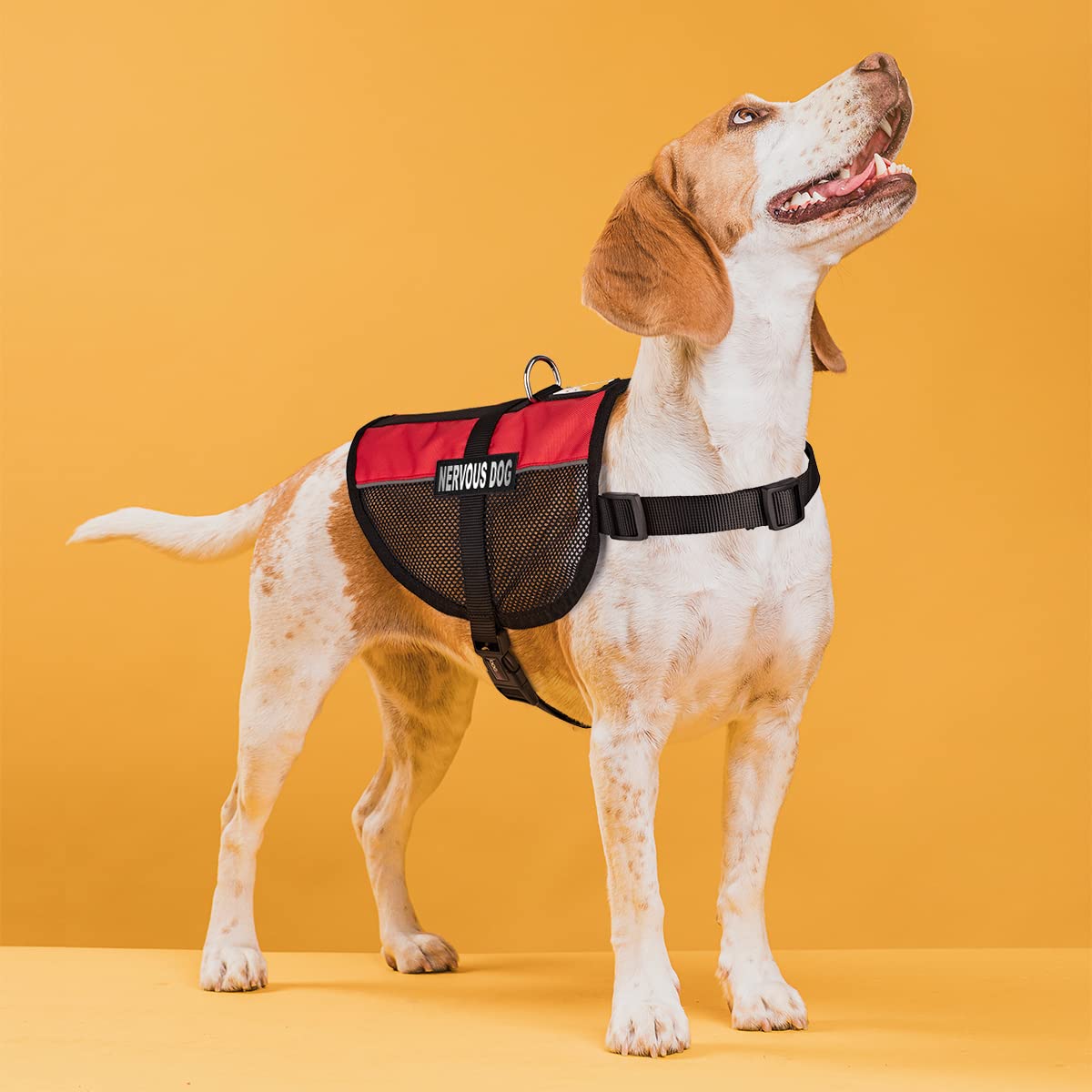 Dogline MaxAire Cooling Vest for Anxious Dogs - Adjustable Harness with Removable Patch & Reflective Strips - Fits Puppies to Large Dogs (17-21 Inch Girth) - Red - Perfect for Summer Walks, Training & Outdoor Adventures