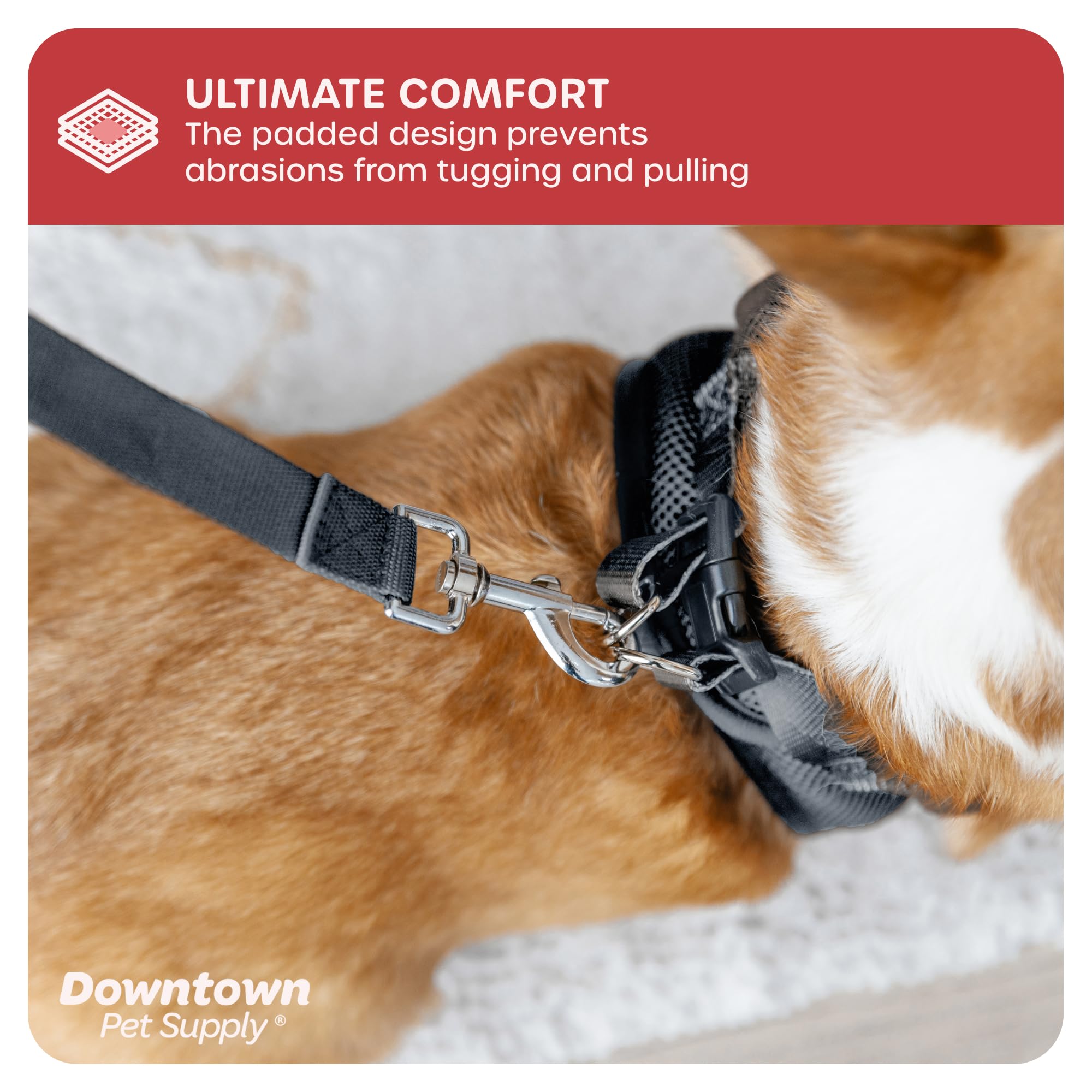 Step-in Dog Harness for Small Dogs & Cats - No Pull Adjustable Pet Harness with Padded Mesh & Reflective Trim - XX-Small Charcoal Buckle Strap Harness - Perfect for Teacup Breeds, Puppies & Indoor Cats - Ideal for Walks, Training & Outdoor Adventures