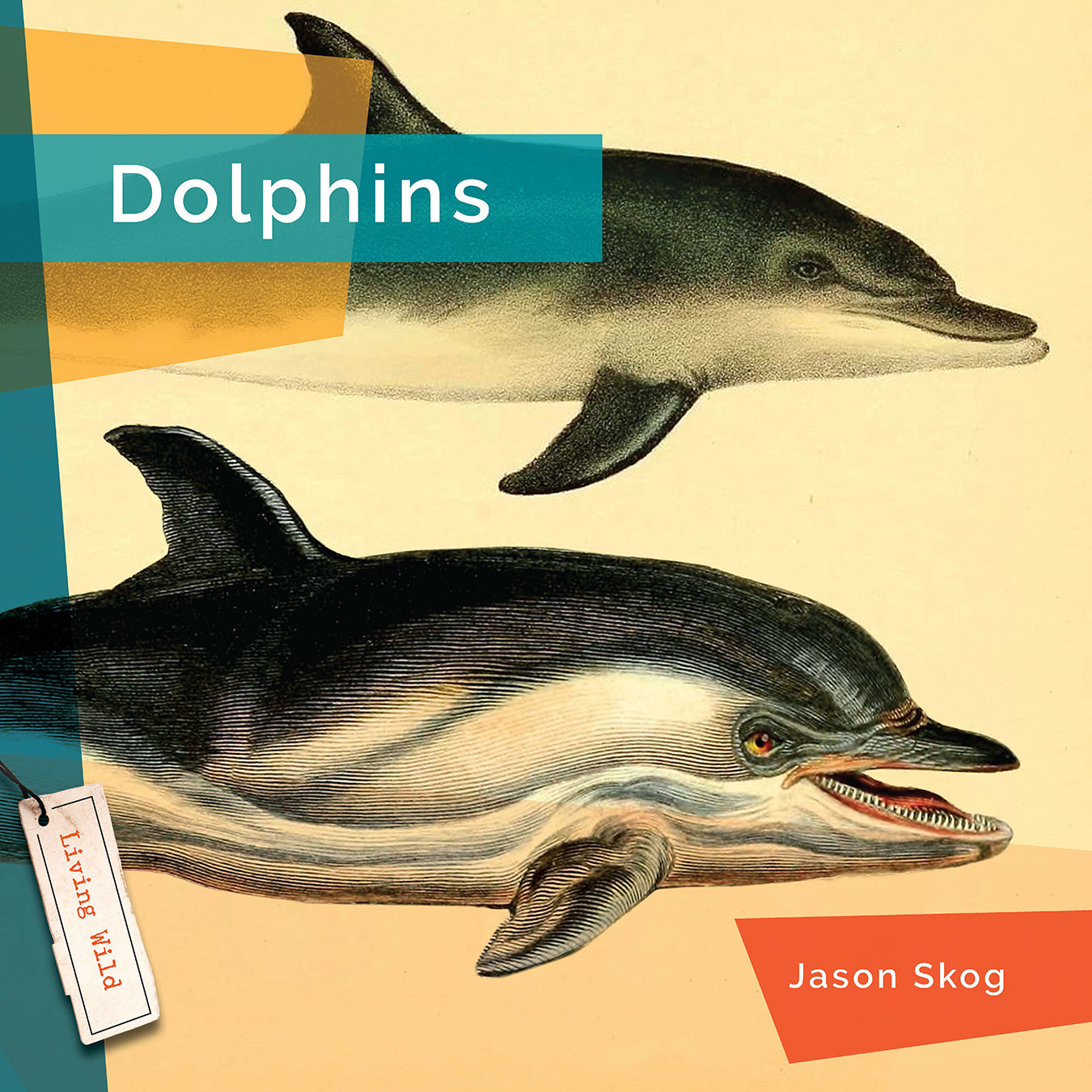 Dolphins Book 9781640265233 - Learn About Marine Life, Perfect for Kids & Ocean Enthusiasts | Great for School Projects & Nature Lovers