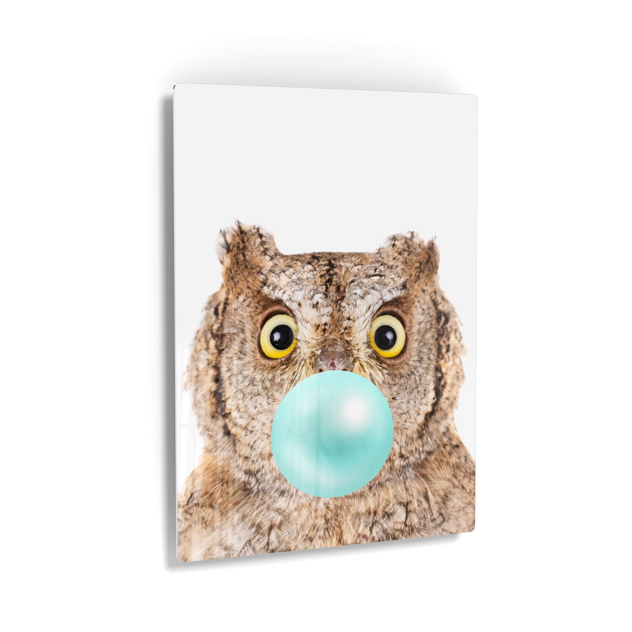 Eurasian Scops Owl Chewing Blue Bubble Gum Metal Wall Art Print - 12x8 Inch African Safari Animal Pop Art for Office, Living Room, Bedroom & Nursery Decor | Unique Home & Gift Idea for Animal Lovers