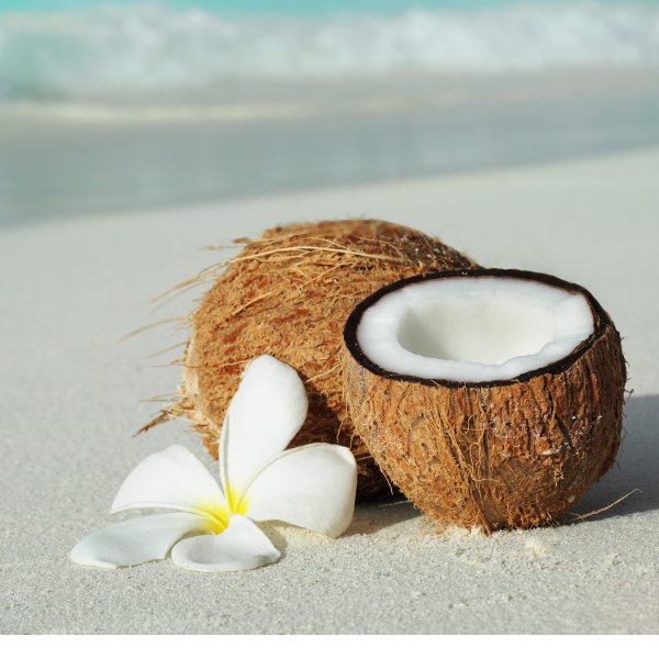 Organic Coconut Lip Balm - Unsweetened, Natural Moisturizer for Dry & Chapped Lips - Perfect for Winter, Hiking & Daily Hydration