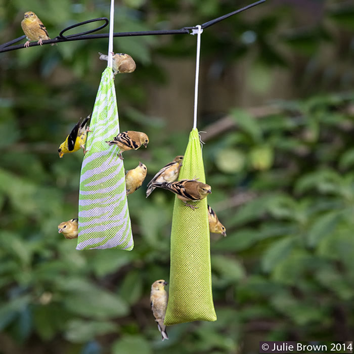 Premium Mr. Canary Finch Sock Feeders - 2 Pack Bird Feeding Boxes for Wild Birds | Perfect for Backyard Birdwatching & Garden Decoration
