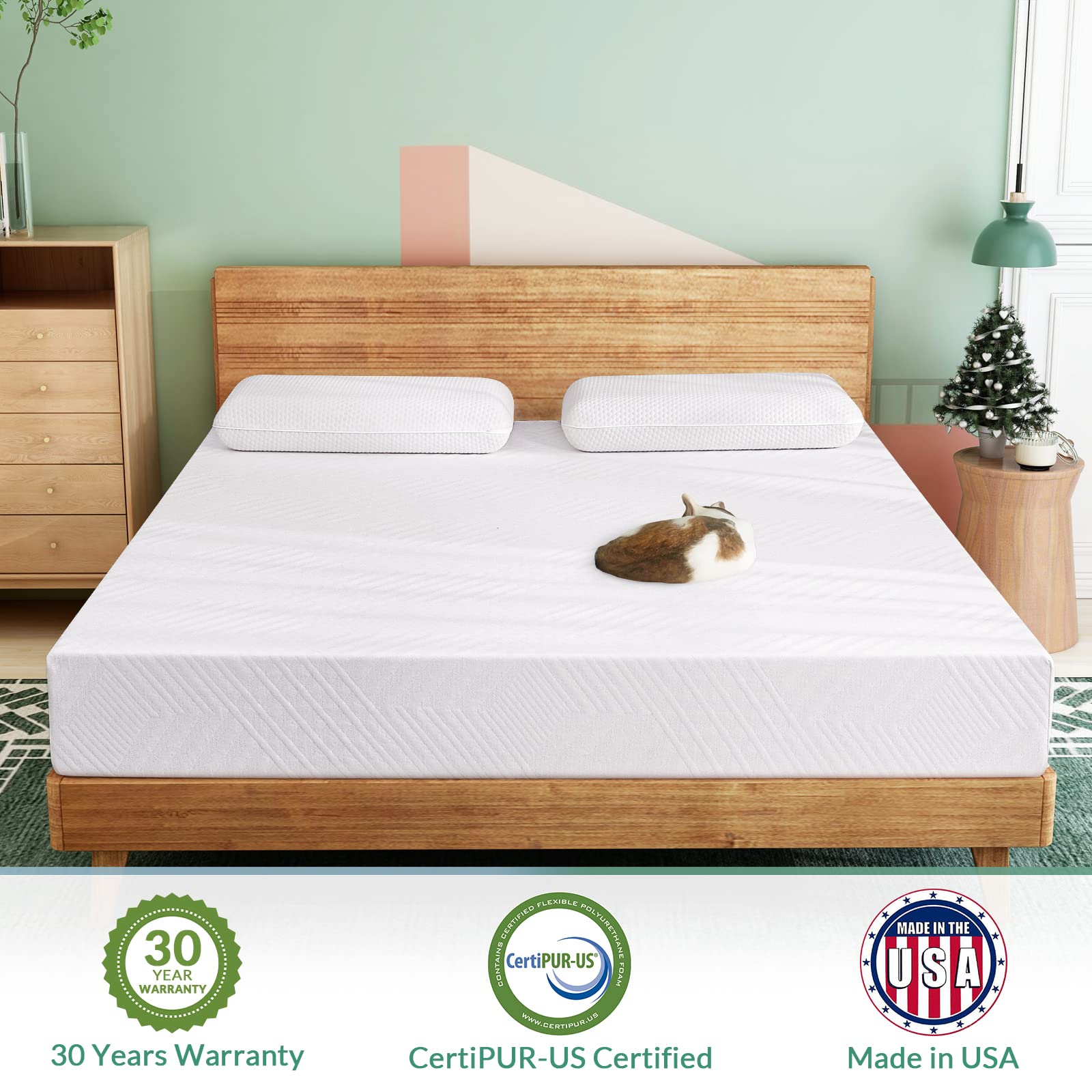 10 Inch Twin Memory Foam Mattress in a Box - Medium Firm Green Tea Infused for Cool Sleep & Pressure Relief, CertiPUR-US Certified, Made in USA | Perfect for Guest Rooms, Dorms & Kids' Beds (Air-10EGO-T)