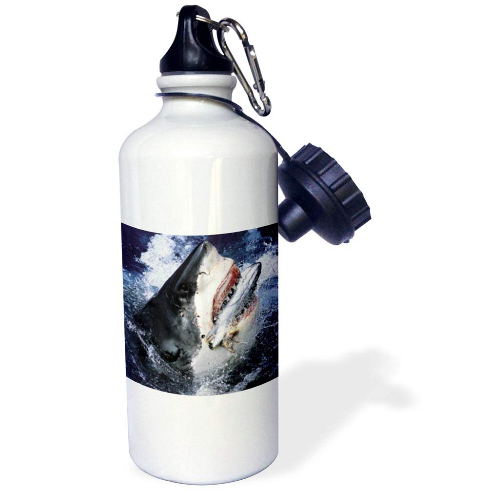 3D Rose Great White Shark Sports Water Bottle - 21oz Insulated Stainless Steel Water Bottle with Leakproof Lid for Gym, Hiking & Outdoor Activities - White