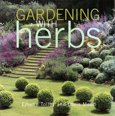Organic Herb Gardening Kit - Grow Fresh Basil, Mint & Thyme at Home | Indoor & Outdoor Herb Garden Starter Set for Cooking, Tea & Aromatherapy