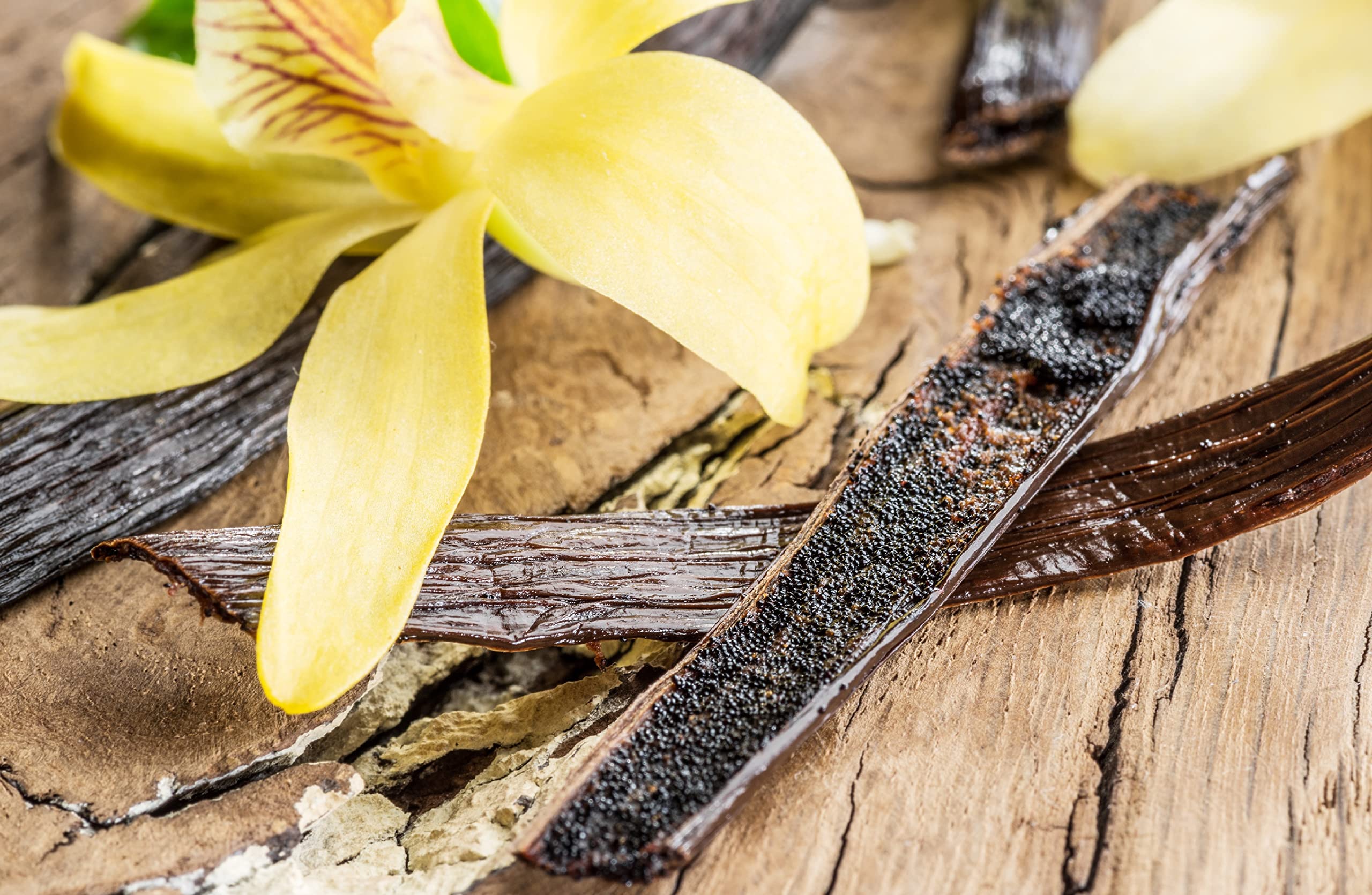 Premium 1 LB Grade A Mexican Vanilla Beans Whole Pods - 16oz Gourmet Vanilla for Baking, Homemade Extract & Cooking | Veracruz-Grown for Rich Flavor | Perfect for Desserts, Ice Cream & Coffee Recipes