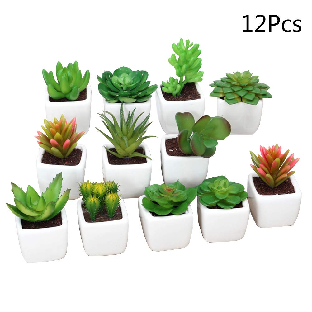 BESPORTBLE 12PCS Artificial Succulent Plants in White Ceramic Pots - Fake Decorative Faux Succulents for Home Office Desk Decor, Wedding Centerpieces, and Shelf Display (Assorted Styles)