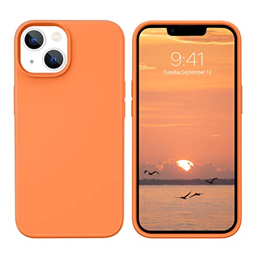 RN065-Orange