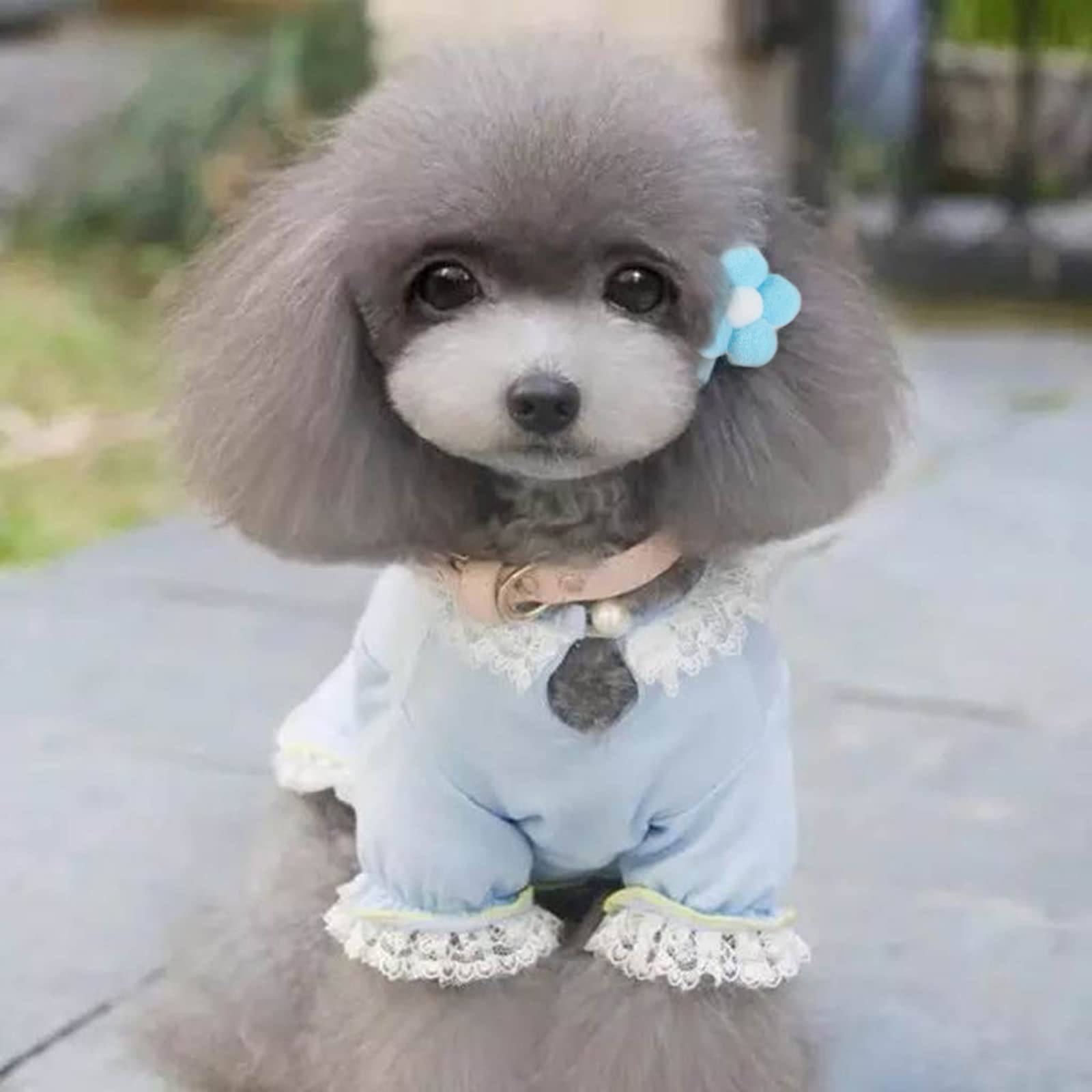 Cute Small Dog Hair Clips & Bows - Floral Fur Ball Barrettes for Puppies & Cats | Alligator Hair Clips for Pet Grooming, Birthday Parties & Special Occasions