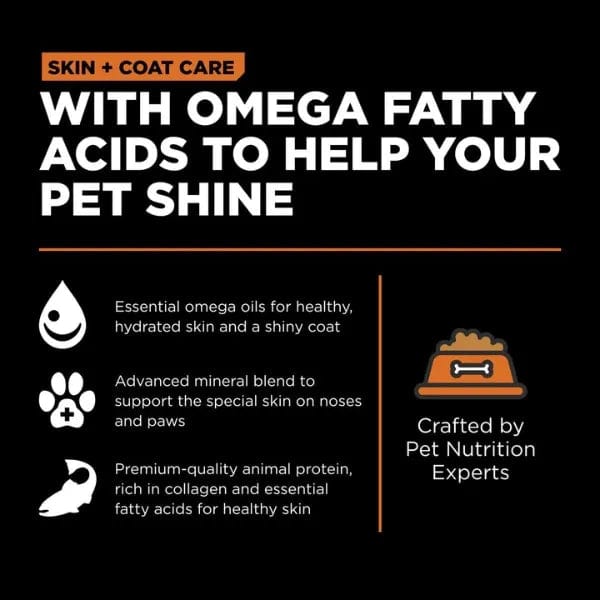 Go! Solutions Grain-Free Salmon Recipe Dry Cat Food for Healthy Skin & Coat - Supports Shiny Fur & Skin Health, Ideal for Adult Cats with Sensitive Skin