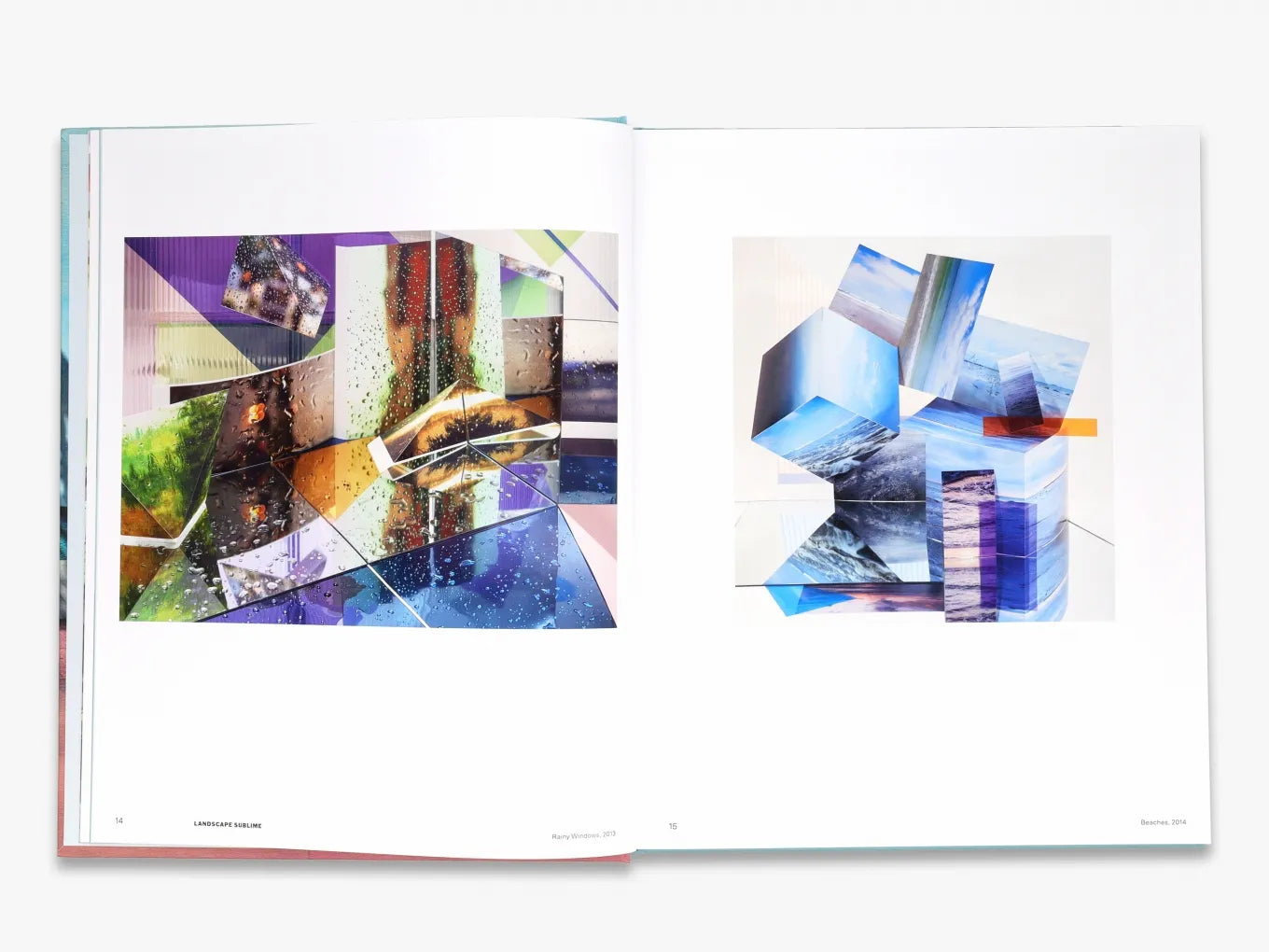 Anastasia Samoylova: Adaptation - Fine Art Photography Book | Contemporary Environmental Portraits | Perfect for Art Collectors & Photography Enthusiasts | Home Decor & Gallery Display