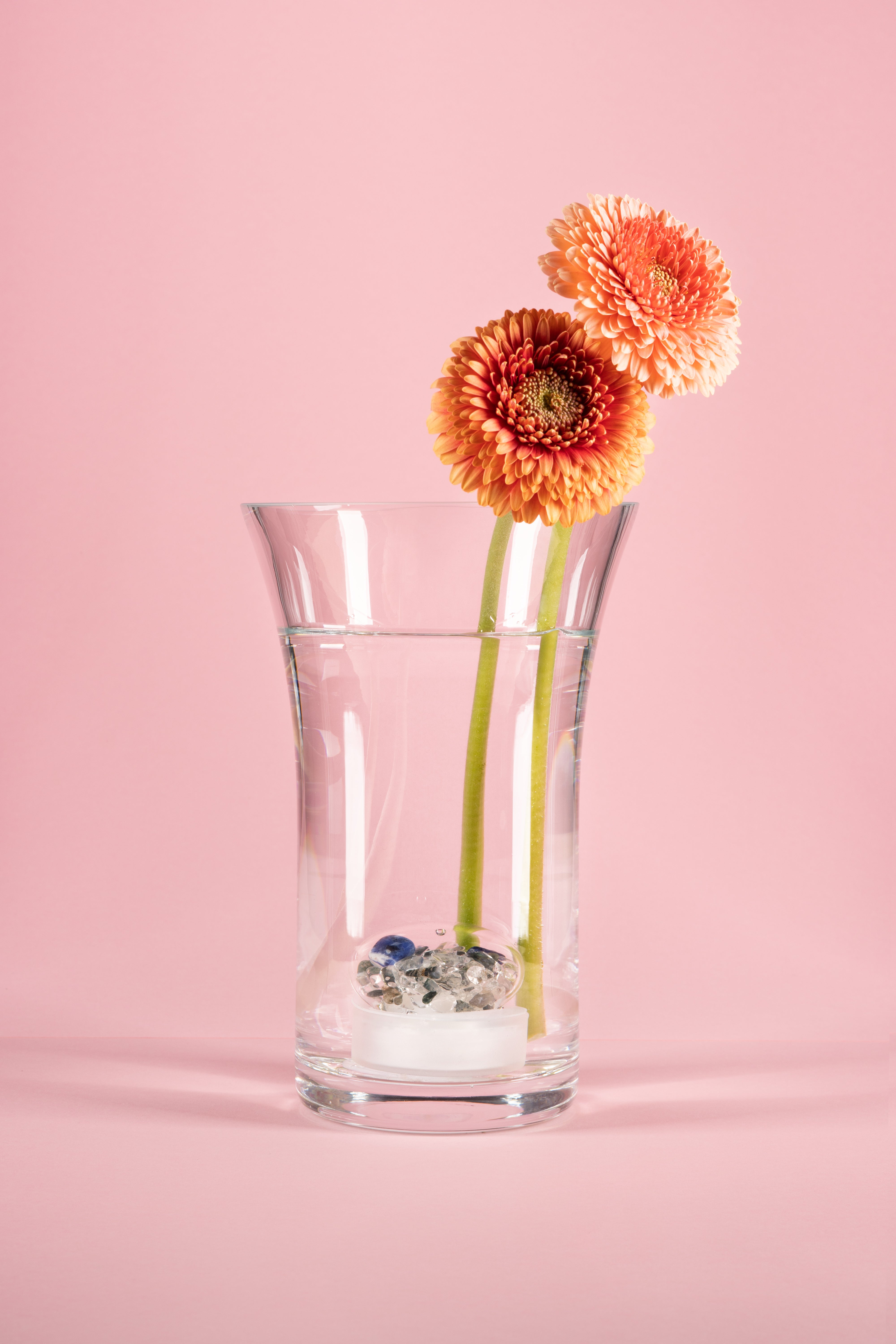 VitaJuwel Crystal Flower Vase - Elegant Glass Vase for Fresh Flowers, Home Decor, Wedding Centerpiece, and Healing Crystal Water Infuser | Perfect for Living Room, Bedroom, Office, and Meditation Space