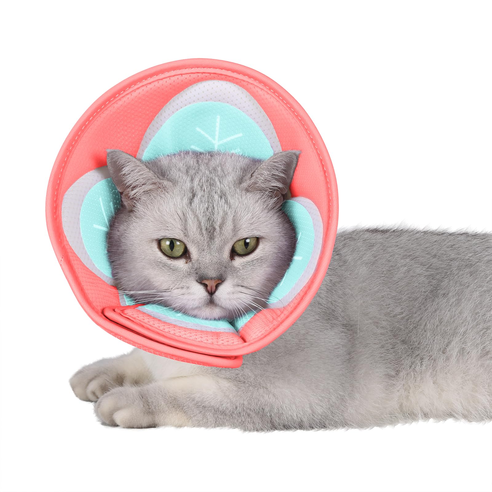 Soft Adjustable Cat Cone Collar for Kittens - Pink Small Pet Recovery Collar | Post-Surgery E-Collar for Wound Protection & Healing | Perfect for Spay/Neuter Recovery & Skin Treatment