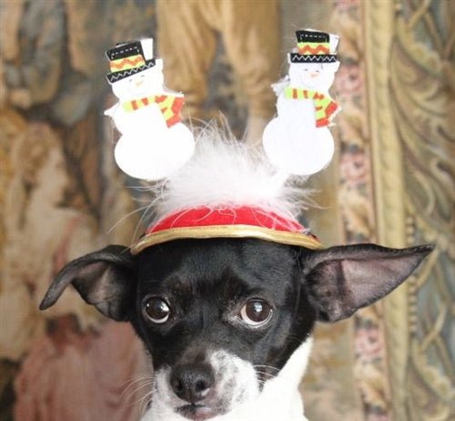 Festive Christmas Snowman Hat for Cats & Dogs - Cute Holiday Pet Costume for Xmas Photos & Parties