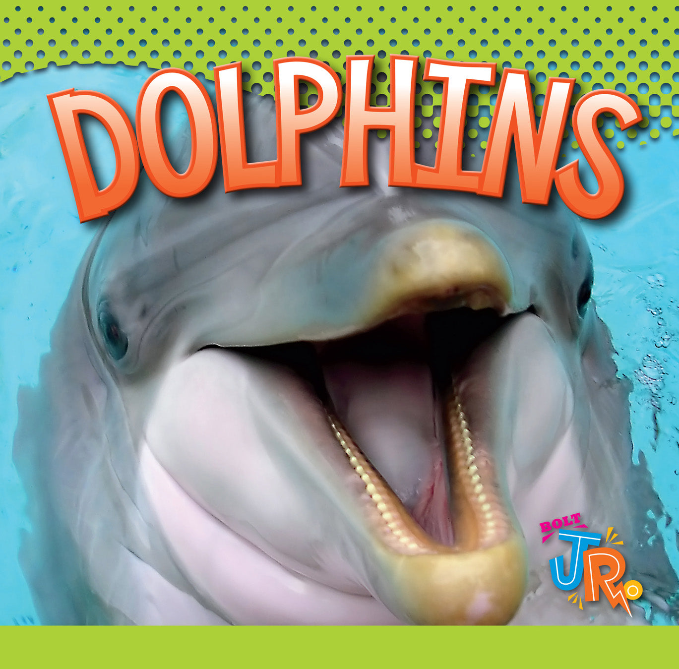 Dolphins Book - 9781623104498 | Marine Life, Ocean Animals & Wildlife Education | Perfect for Kids, Students & Nature Lovers
