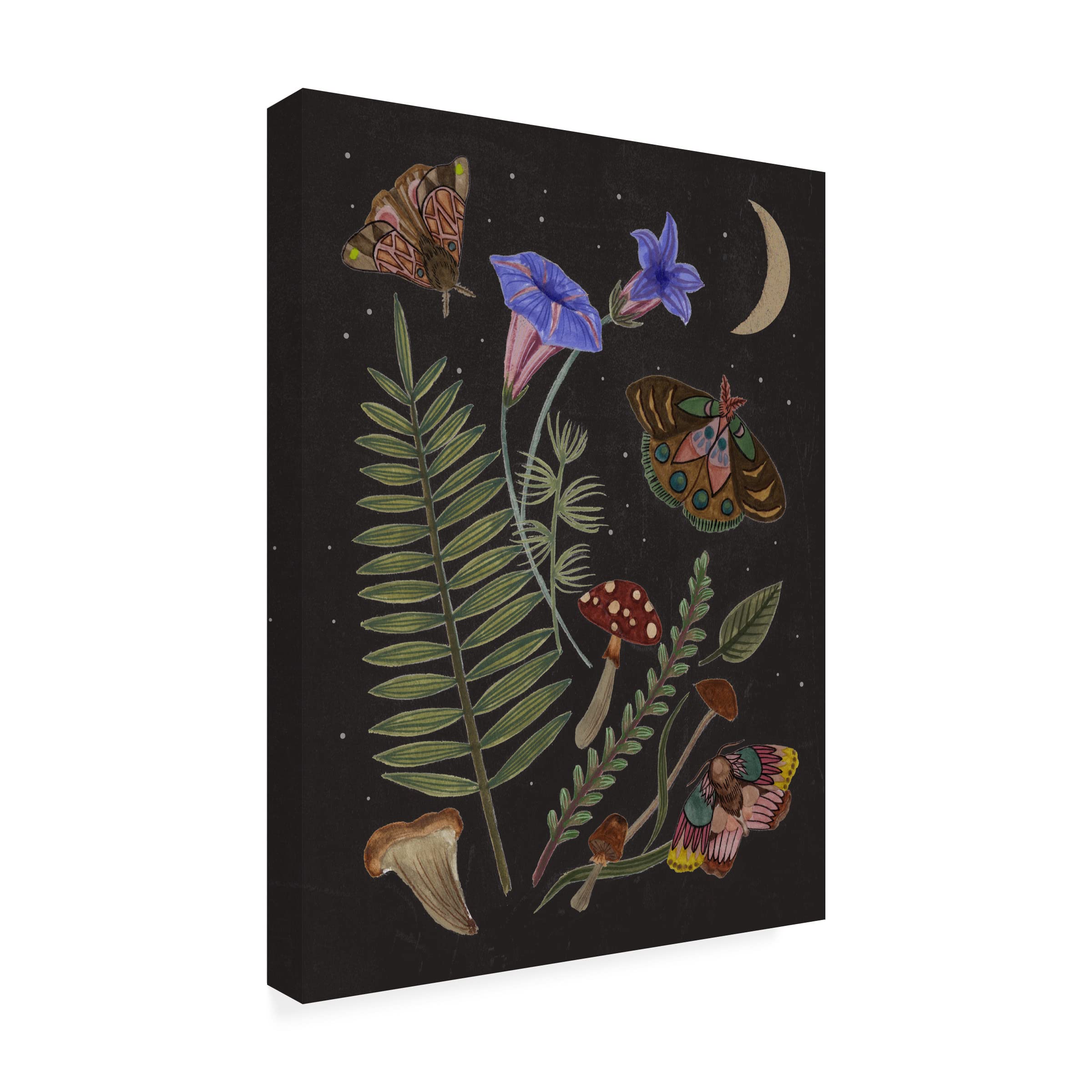 Trademark Fine Art 'Dark Forest II' Canvas Wall Art by Melissa Wang - Nature Landscape Painting for Living Room, Bedroom & Office Decor