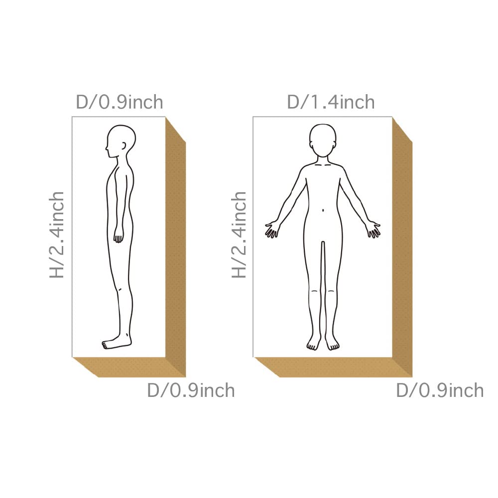 3-Piece Wood Rubber Stamps Set - Human Body Clinical Records & Health Journal for DIY Crafting, Scrapbooking, Painting, Letters & Diary | Made in Japan Tokyo | Perfect for Medical Students, Nurses & Healthcare Professionals