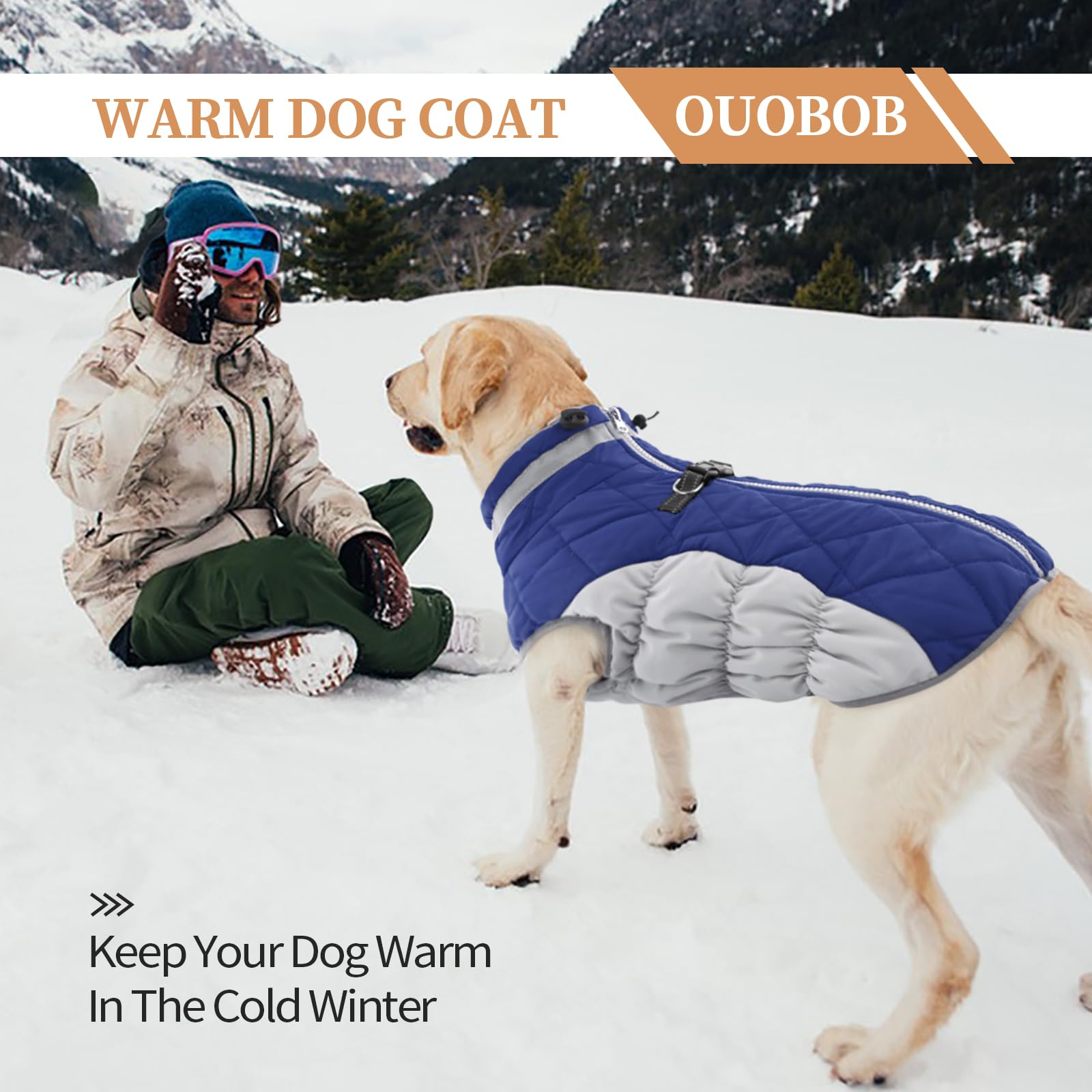 Waterproof Winter Dog Coat with Fleece Lining & Back Zipper - Large Size Dog Jacket with Built-in Harness for French Bulldog, Shiba Inu (Blue) - Perfect for Snowy Walks, Cold Weather & Outdoor Adventures