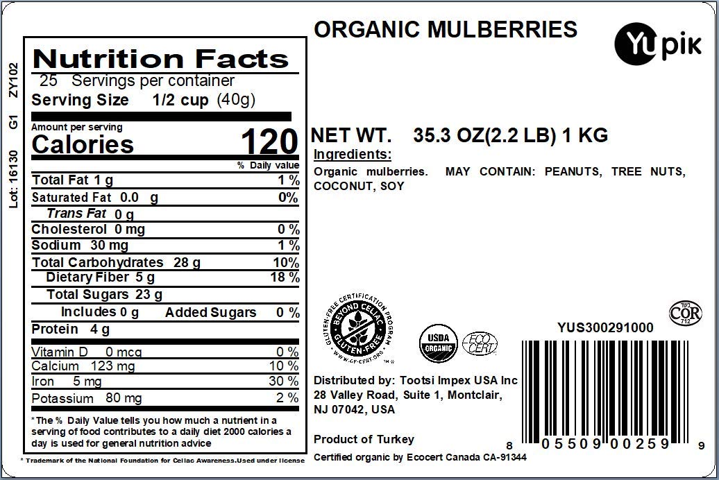 Organic Dried Mulberries 2.2 lb | Non-GMO, Vegan, Gluten-Free, No Sugar Added | Healthy Snack for Smoothies, Yogurt Topping & Baking | Yupik Premium Dried Fruit