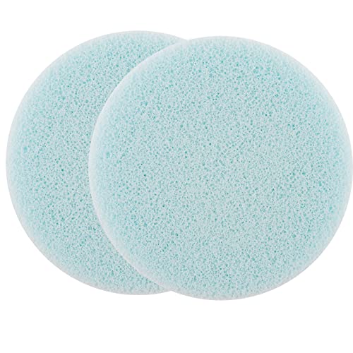 2pcs Blue Stamp Scrubber