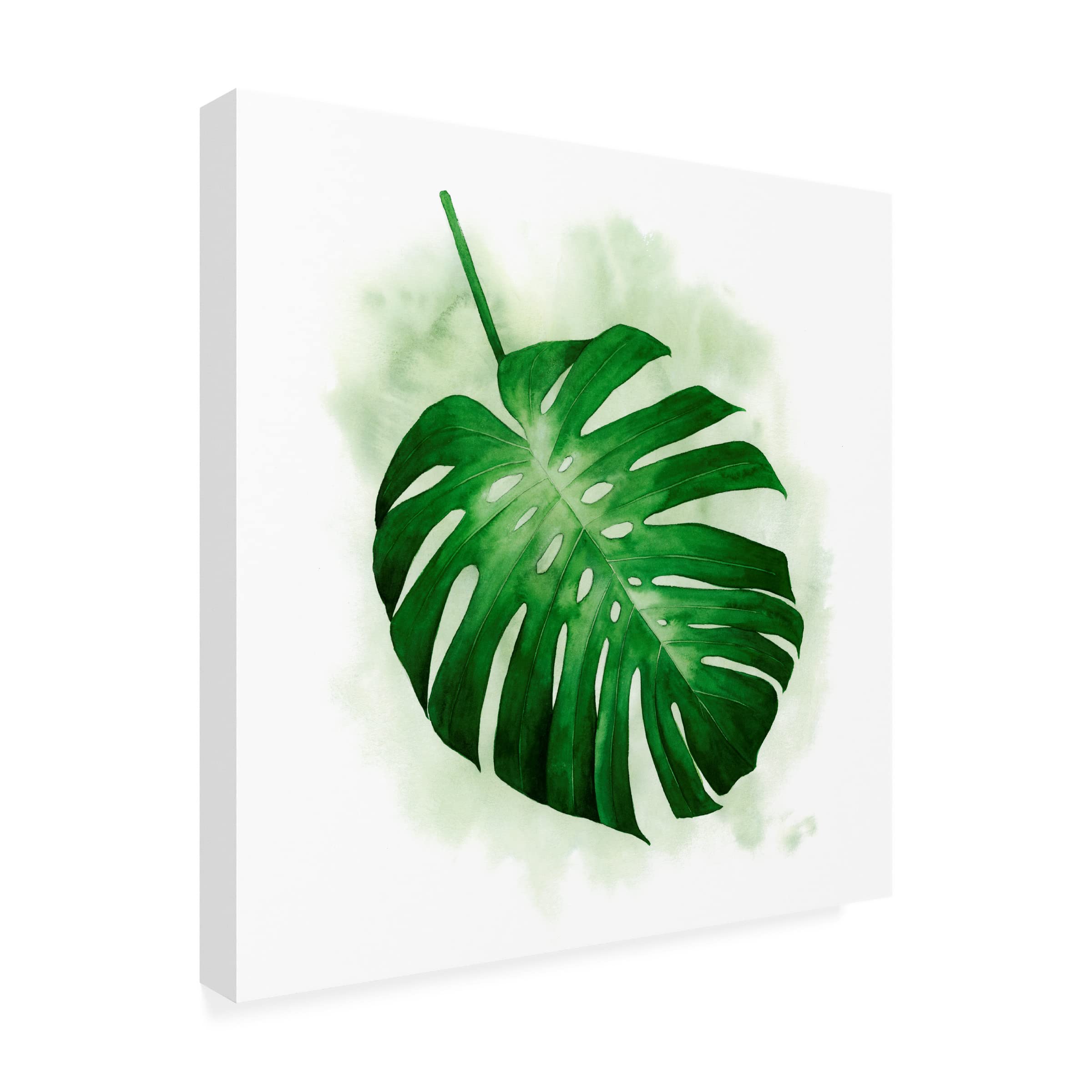 Grace Popp 'Palm Wash I' Canvas Wall Art Print - Modern Abstract Painting for Living Room, Bedroom & Office Decor