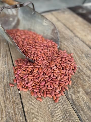 Premium Non-GMO Dried North Lily Kidney Beans - Kosher, Halal, Vegan & Gluten Free (50 lbs Bulk) - Perfect for Chili, Stews, Salads & Healthy Meal Prep