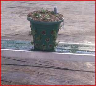 Water Absorbing Polymer Plant Mats - Reduce Watering Frequency by 50% for Hanging Baskets, Planters & Containers | Perfect for Indoor Plants, Outdoor Gardens & Drought-Prone Areas