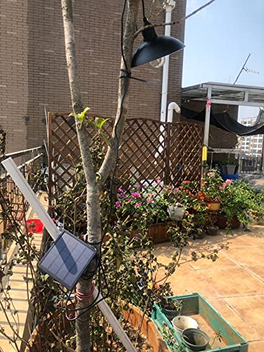 Solar Pendant Light with Remote Control - Dimmable, IP65 Waterproof, 5M Cable, No Wiring Required - Perfect for Indoor, Outdoor, Greenhouse, Porch & Entryway Lighting (Bulb Included)
