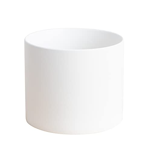 White Flat Bottom