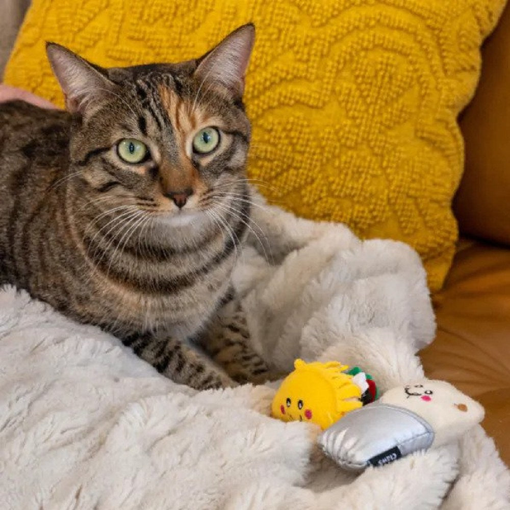NomNomz Taco & Burrito Cat Toy - Interactive Play for Kittens & Cats - Perfect for Indoor Playtime & Hunting Instinct Stimulation