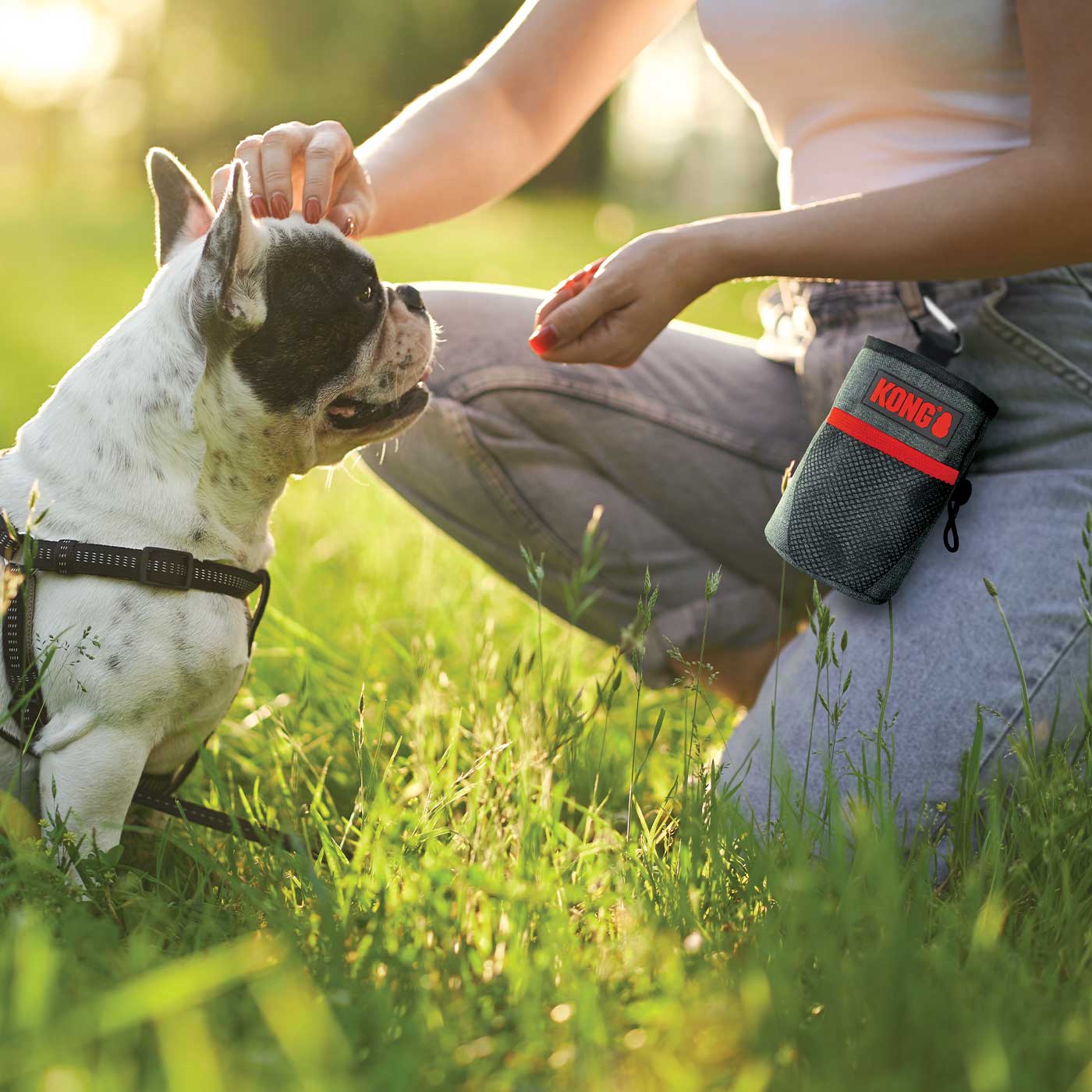 Kong Treat Bag for Dogs - Durable Chew Toy with Stuffable Treat Dispenser - Perfect for Training, Boredom Relief & Mental Stimulation