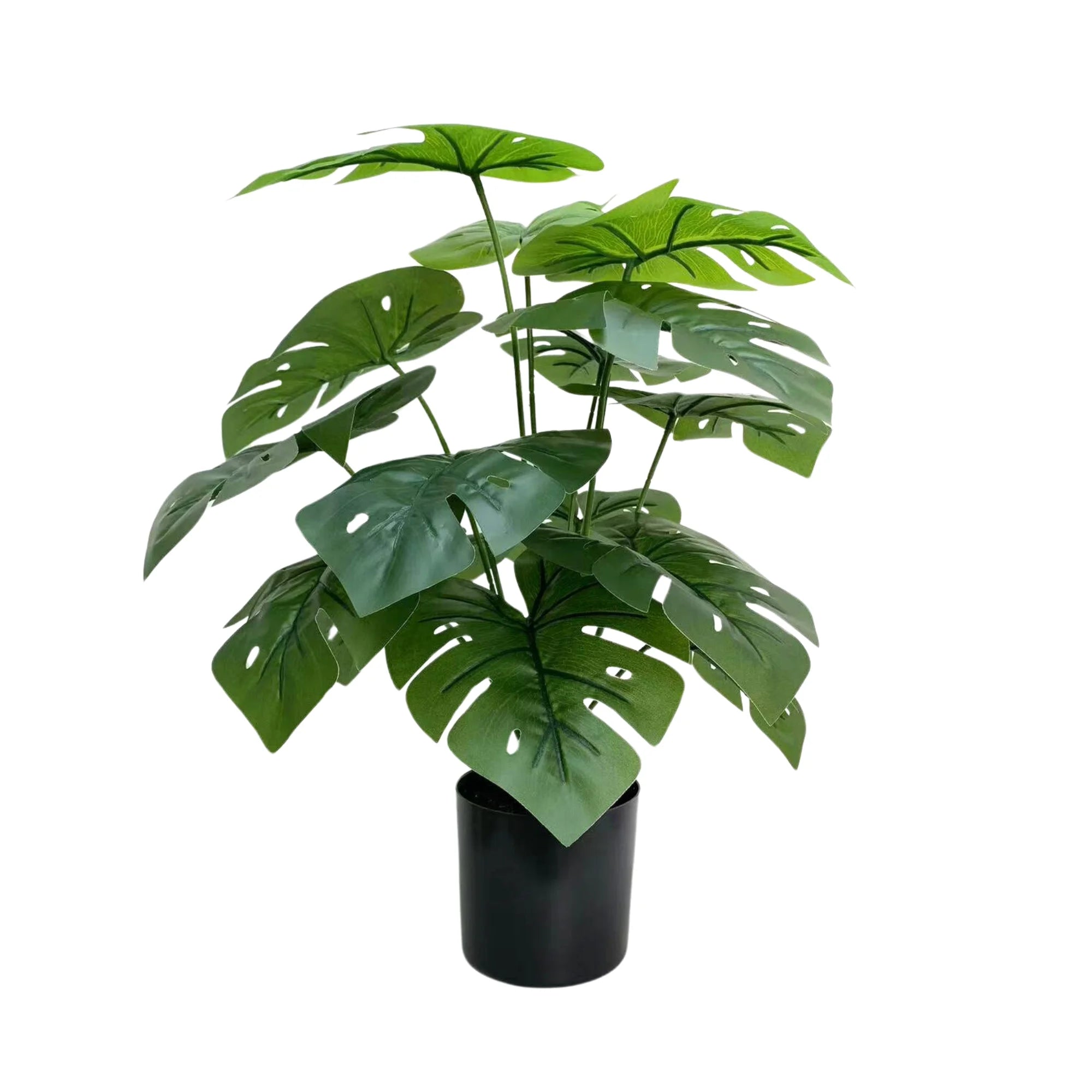 Mini Monstera Plant - 50cm Decorative Potted Greenery for Home & Office - Perfect for Indoor Decor, Housewarming Gifts, and Shelf Styling