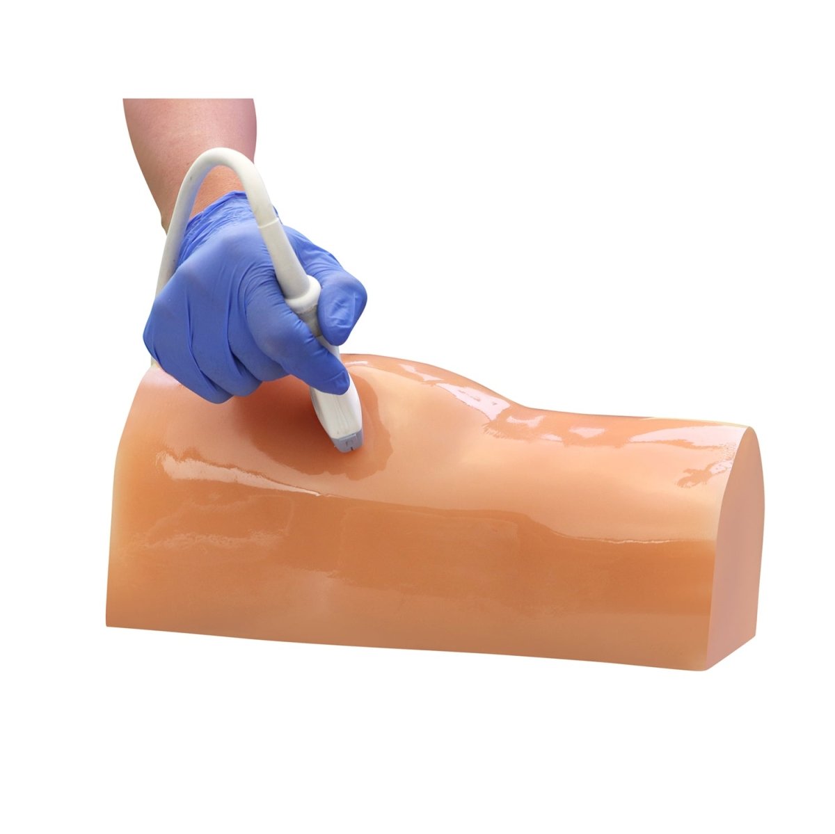 HM - Knee Arthrocentesis Training Model for Medical Students & Practitioners - Realistic Simulation for Joint Aspiration Practice