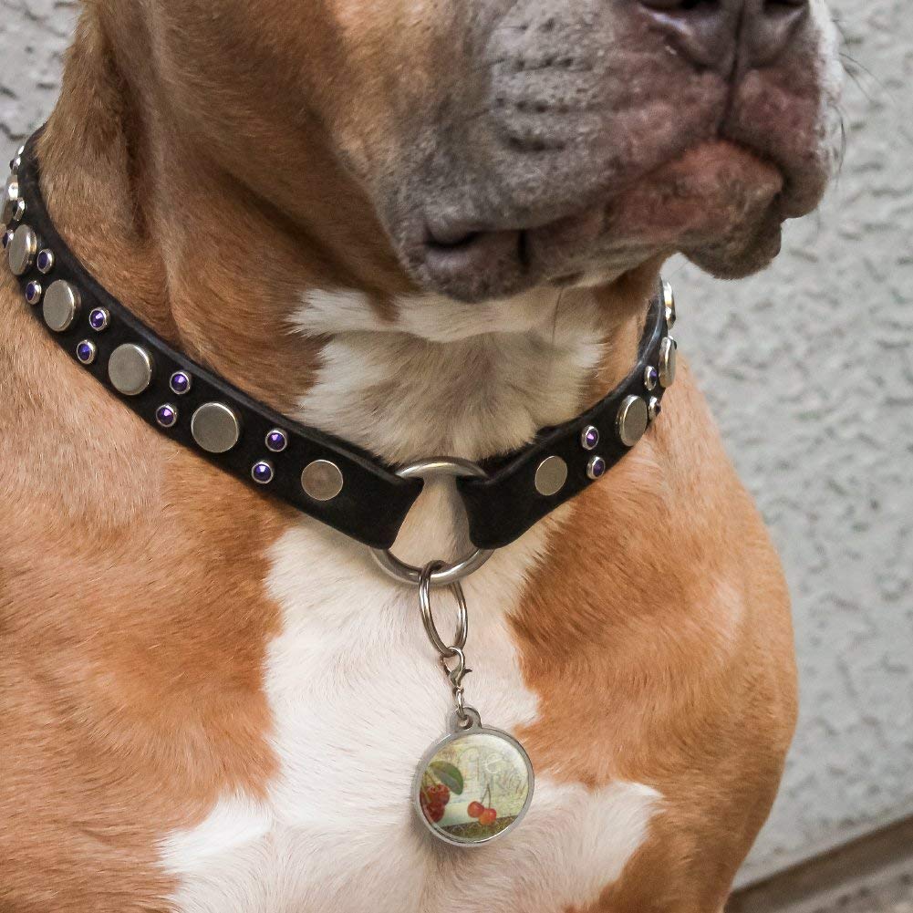 Christmas Pet ID Tag - Red & Green Cherry Design Chrome Plated Metal Dog & Cat Name Tag - Perfect for Holiday Gifts & Pet Accessories