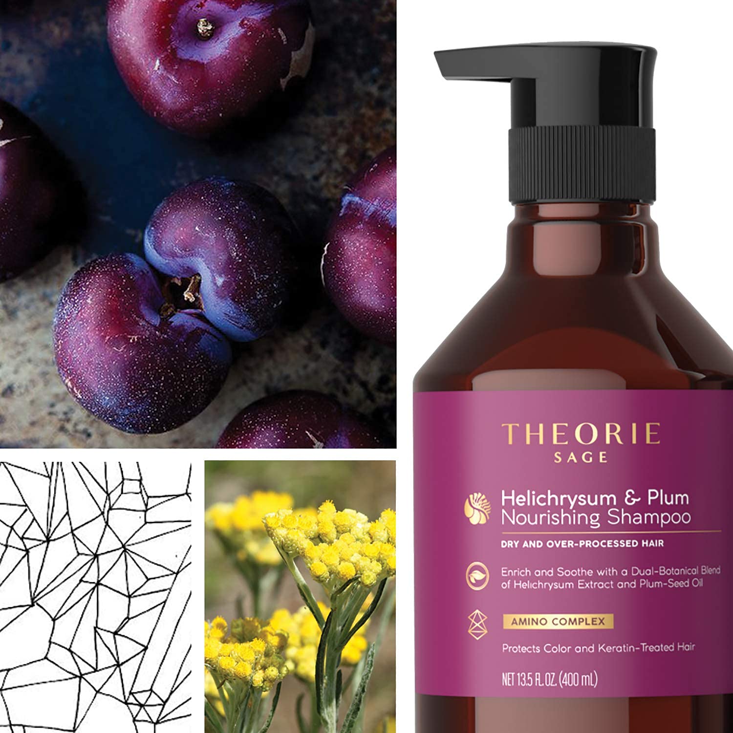 Helichrysum & Plum Nourishing Hair Conditioner for Dry & Damaged Hair - 800mL Deep Hydration & Repair - Perfect for Salon Treatments & Daily Hair Care