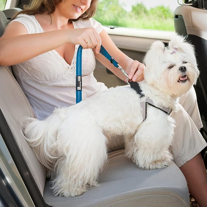 Premium Dog Car Seat Belt - Elastic Nylon Pet Safety Harness with Tangle-Free Headrest Strap for Vehicle Travel | Durable & Comfortable for Small to Medium Dogs | Perfect for Road Trips, Daily Commutes & Vet Visits (Blue)